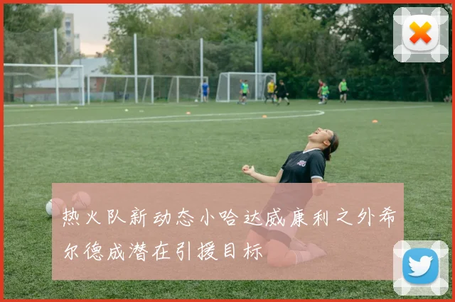 热火队新动态小哈达威康利之外希尔德成潜在引援目标