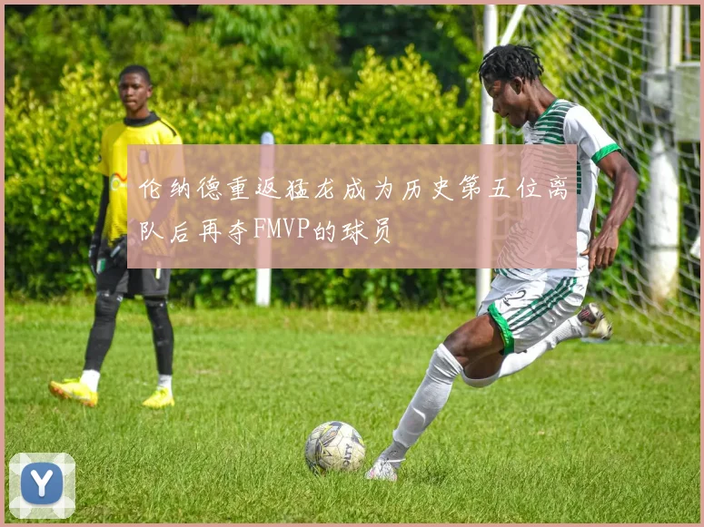 伦纳德重返猛龙成为历史第五位离队后再夺FMVP的球员